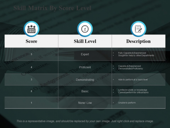 Skill Matrix By Score Level Ppt PowerPoint Presentation Themes Skill Matrix By Score Level Ppt PowerPoint Presentation Themes