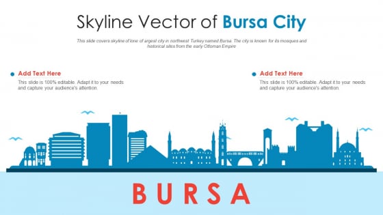 Skyline Vector Of Bursa City PowerPoint Presentation PPT Template PDF