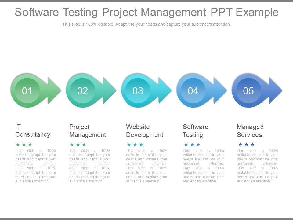 Software Testing Project Management Ppt Example - PowerPoint Templates