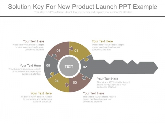 Solution Key For New Product Launch Ppt Example