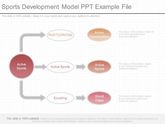 Sports Development Model Ppt Example File Sports Development Model Ppt Example File