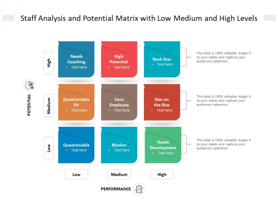 Staff Analysis And Potential Matrix With Low Medium And High Levels Ppt PowerPoint Presentation Icon Styles PDF