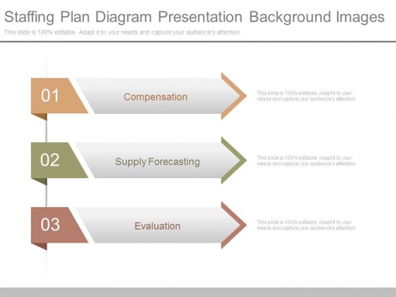 Staffing Plan Diagram Presentation Background Images Staffing Plan Diagram Presentation Background Images