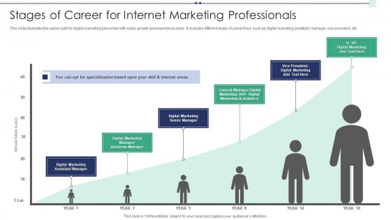 Stages Of Career For Internet Marketing Professionals Elements PDF