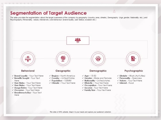 Startup Pitch To Raise Capital From Crowdfunding Segmentation Of Target Audience Portrait PDF Startup Pitch To Raise Capital From Crowdfunding Segmentation Of Target Audience Portrait PDF