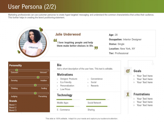 Steps For Successful Brand Building Process User Persona Goals Demonstration PDF