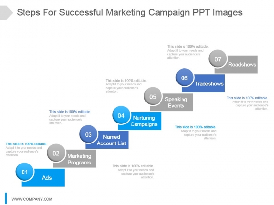 Steps For Successful Marketing Campaign Ppt Images