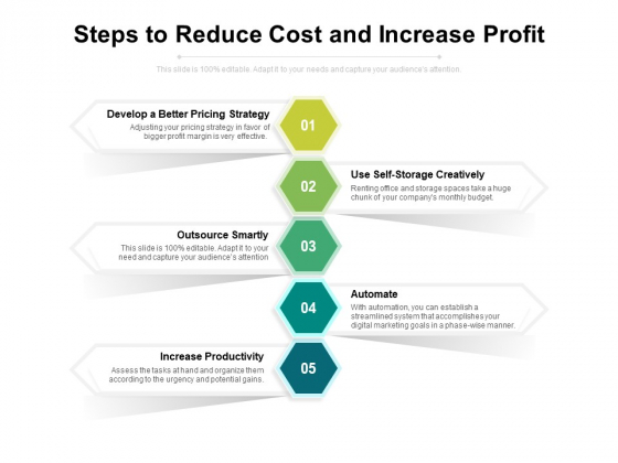 Steps To Reduce Cost And Increase Profit Ppt PowerPoint Presentation Pictures Structure PDF