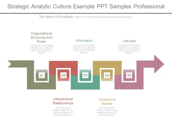 Strategic Analytic Culture Example Ppt Samples Professional