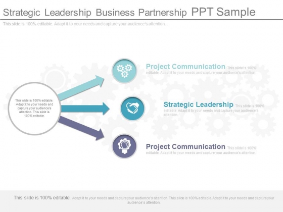Strategic Leadership Business Partnership Ppt Sample Strategic Leadership Business Partnership Ppt Sample