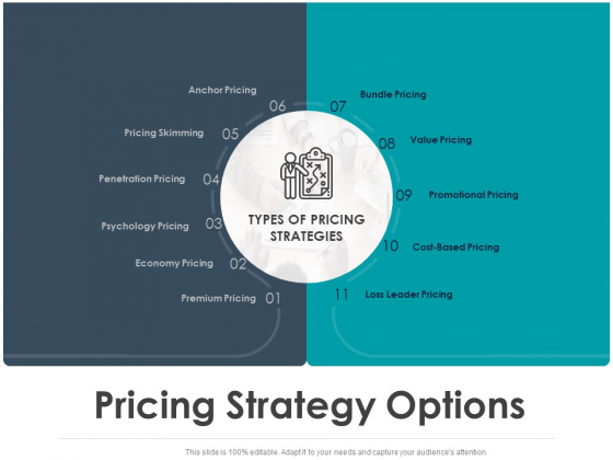 Strategic Plan For Companys Development Pricing Strategy Options Ppt PowerPoint Presentation Background Images Strategic Plan For Companys Development Pricing Strategy Options Ppt PowerPoint Presentation Background Images