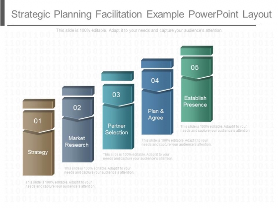 Strategic Planning Facilitation Example Power Point Layout