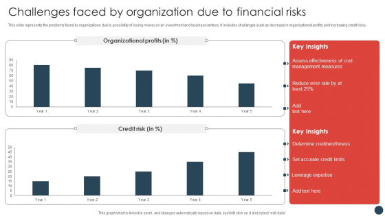 Strategic Risk Management Plan Challenges Faced By Organization Due To Financial Risks Elements PDF