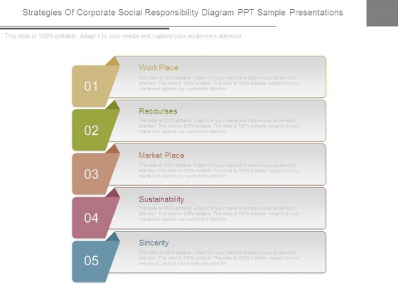 Strategies Of Corporate Social Responsibility Diagram Ppt Sample Presentations Strategies Of Corporate Social Responsibility Diagram Ppt Sample Presentations