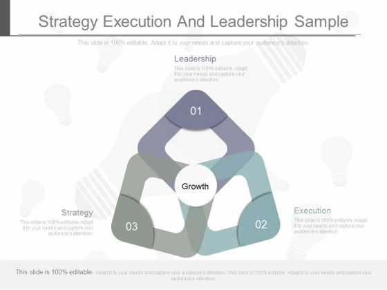 Strategy Execution And Leadership Sample Strategy Execution And Leadership Sample