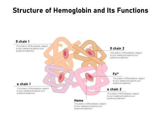 Structure Of Hemoglobin And Its Functions Ppt PowerPoint Presentation File Good PDF Structure Of Hemoglobin And Its Functions Ppt PowerPoint Presentation File Good PDF