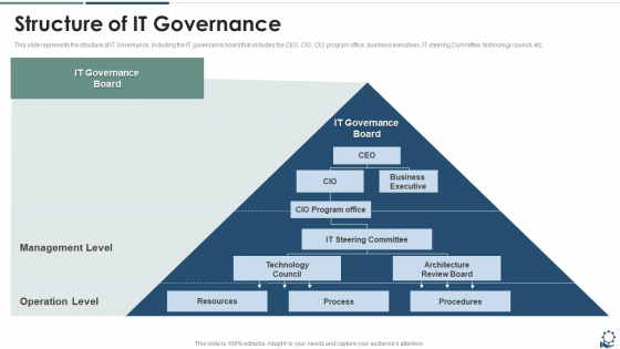 Structure Of IT Governance Structure PDF