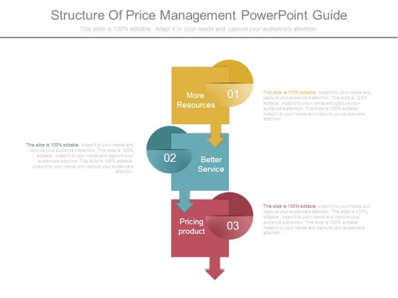 Structure Of Price Management Powerpoint Guide