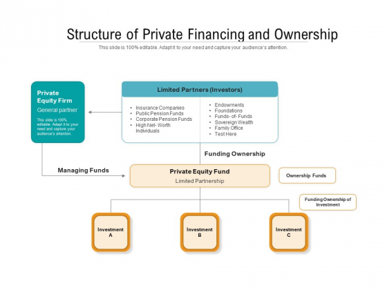 Structure Of Private Financing And Ownership Ppt PowerPoint Presentation Slides Templates PDF