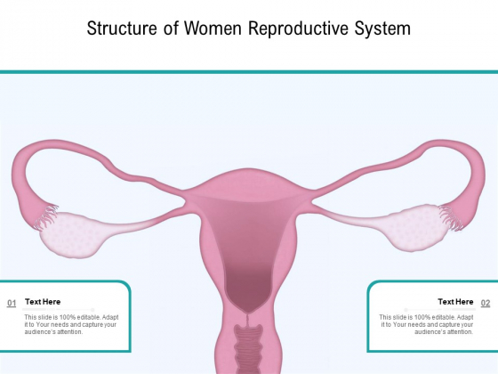 Structure Of Women Reproductive System Ppt PowerPoint Presentation Gallery Outfit PDF