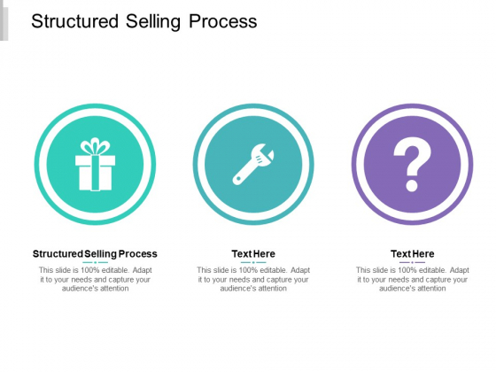 Structured Selling Process Ppt PowerPoint Presentation Rules Cpb