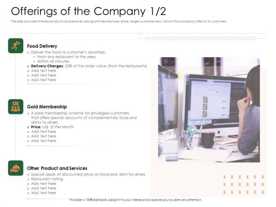 Substitute Financing Pitch Deck Offerings Of The Company Product Graphics PDF Substitute Financing Pitch Deck Offerings Of The Company Product Graphics PDF