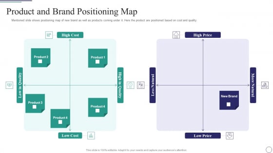 Successful Brand Development Plan Product And Brand Positioning Map Themes PDF Successful Brand Development Plan Product And Brand Positioning Map Themes PDF