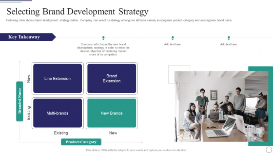 Successful Brand Development Plan Selecting Brand Development Strategy Demonstration PDF