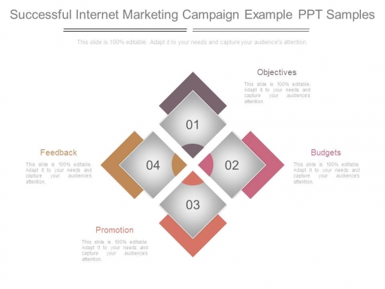 Successful Internet Marketing Campaign Example Ppt Samples