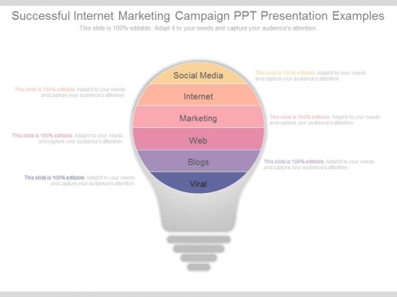 Successful Internet Marketing Campaign Ppt Presentation Examples Successful Internet Marketing Campaign Ppt Presentation Examples