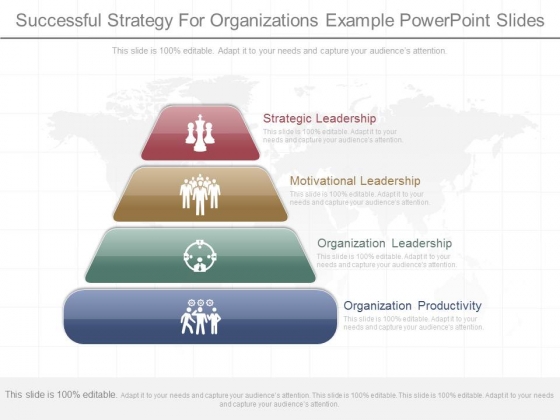 Successful Strategy For Organizations Example Powerpoint Slides