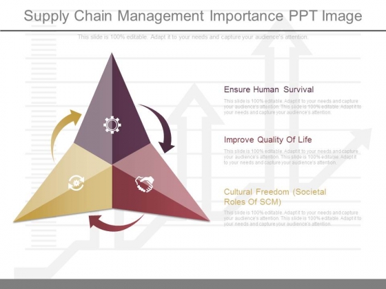Supply Chain Management Importance Ppt Image 1