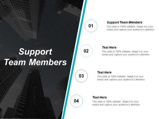 Support Team Members Ppt PowerPoint Presentation Summary Introduction Cpb