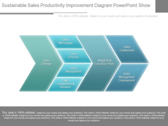 Sustainable Sales Productivity Improvement Diagram Powerpoint Show