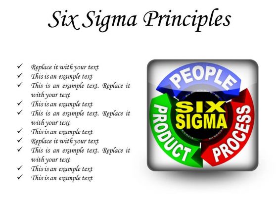 Six Sigma Principles Business PowerPoint Presentation Slides S Six Sigma Principles Business PowerPoint Presentation Slides S