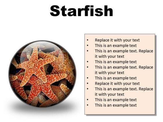 Starfish Animals PowerPoint Presentation Slides C Starfish Animals PowerPoint Presentation Slides C