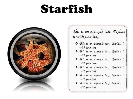 Starfish Animals PowerPoint Presentation Slides Cc Starfish Animals PowerPoint Presentation Slides Cc