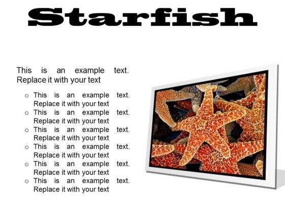 Starfish Animals PowerPoint Presentation Slides F Starfish Animals PowerPoint Presentation Slides F