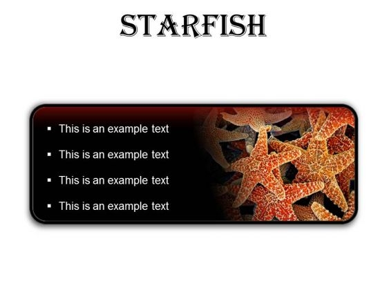 Starfish Animals PowerPoint Presentation Slides R Starfish Animals PowerPoint Presentation Slides R