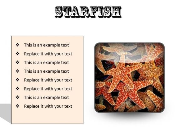 Starfish Animals PowerPoint Presentation Slides S Starfish Animals PowerPoint Presentation Slides S