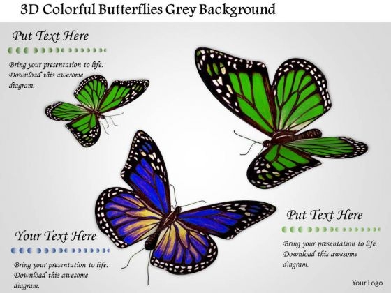 Stock Photo 3d Colorful Butterflies Grey Background PowerPoint Slide