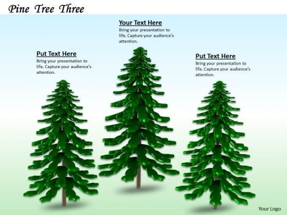 Stock Photo Backdrop Of Pine Trees PowerPoint Slide Stock Photo Backdrop Of Pine Trees PowerPoint Slide