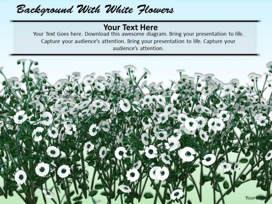 Stock Photo Background With White Flowers PowerPoint Template Stock Photo Background With White Flowers PowerPoint Template