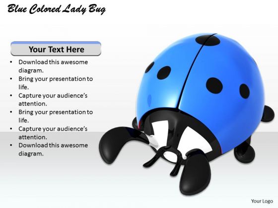 Stock Photo Blue Colored Lady Bug PowerPoint Template Stock Photo Blue Colored Lady Bug PowerPoint Template