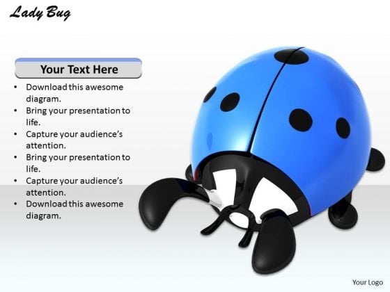 Stock Photo Blue Lady Bug On White Background PowerPoint Slide Stock Photo Blue Lady Bug On White Background PowerPoint Slide