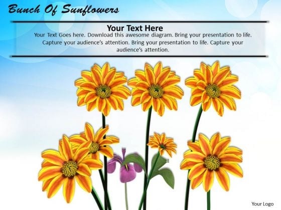 Stock Photo Bunch Of Sunflowers PowerPoint Template