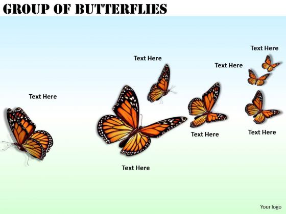 Stock Photo Business Strategy Consultant Group Of Butterflies Pictures Stock Photo Business Strategy Consultant Group Of Butterflies Pictures