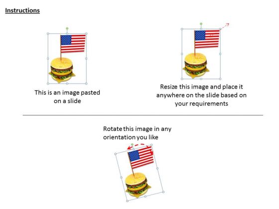 stock_photo_business_strategy_review_hamburger_americas_national_dish_icons_2