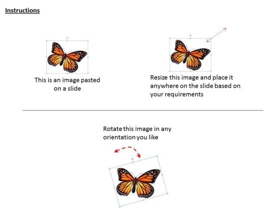 stock_photo_butterfly_natures_gift_powerpoint_template_2