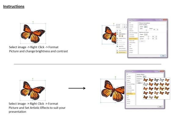 stock_photo_butterfly_natures_gift_powerpoint_template_3